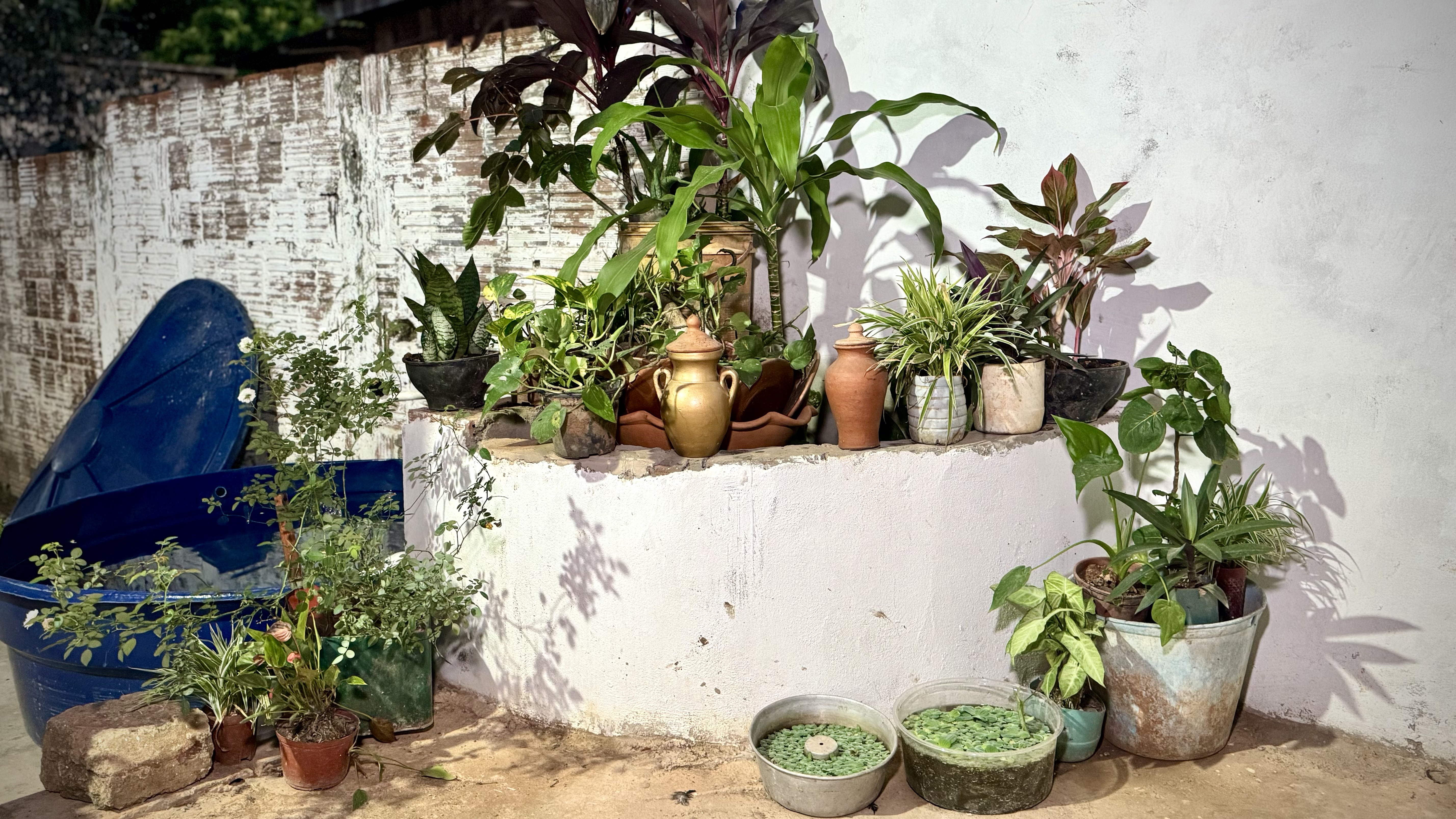 Casa De Exu Menina