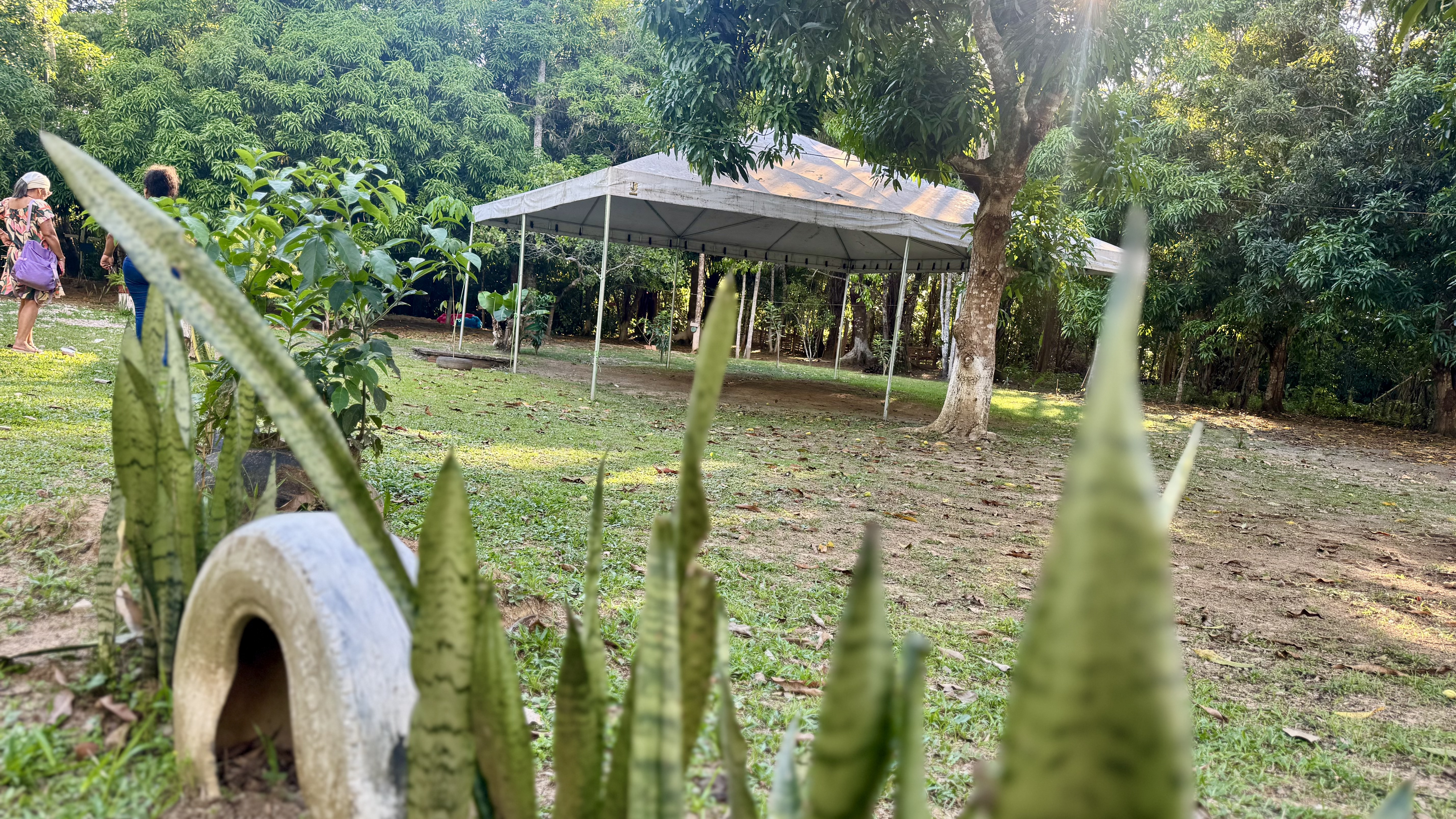 Registro de Centro Espírita De Umbanda Reino Das Matas