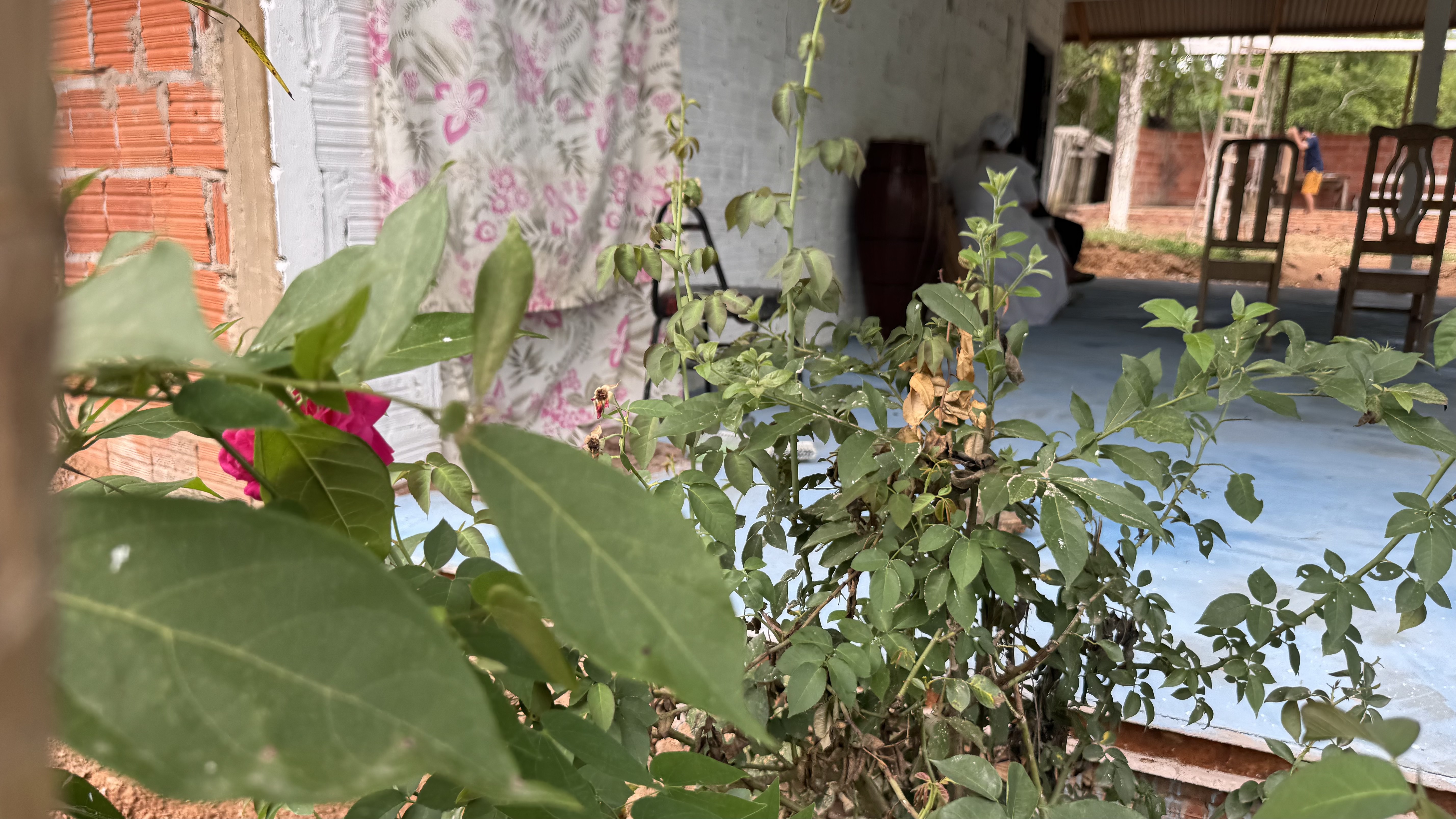 Registro de Ilê Asé Yemanja Yėtumbi