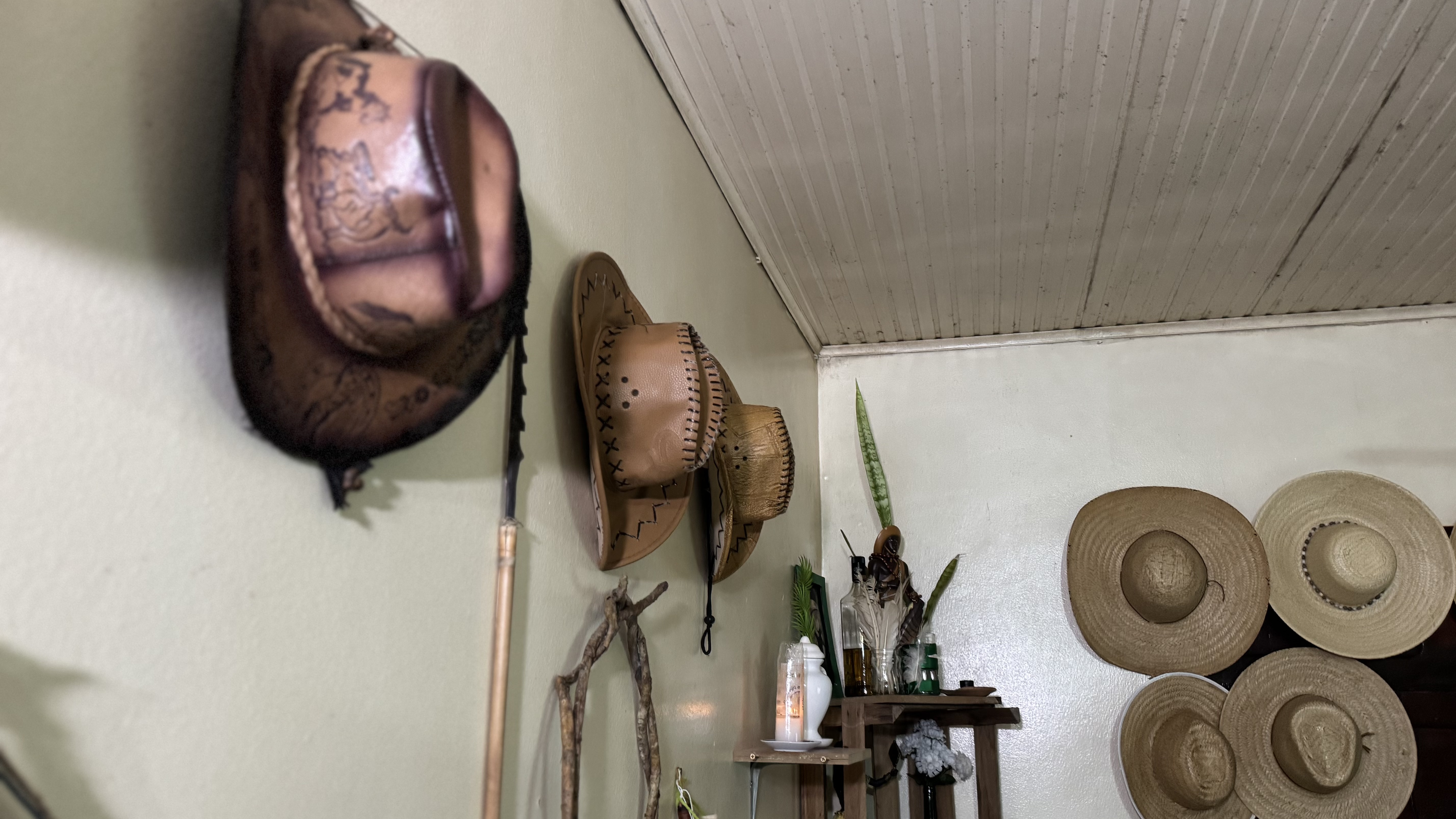 Registro de Centro Espírita De Umbanda Reino Das Matas