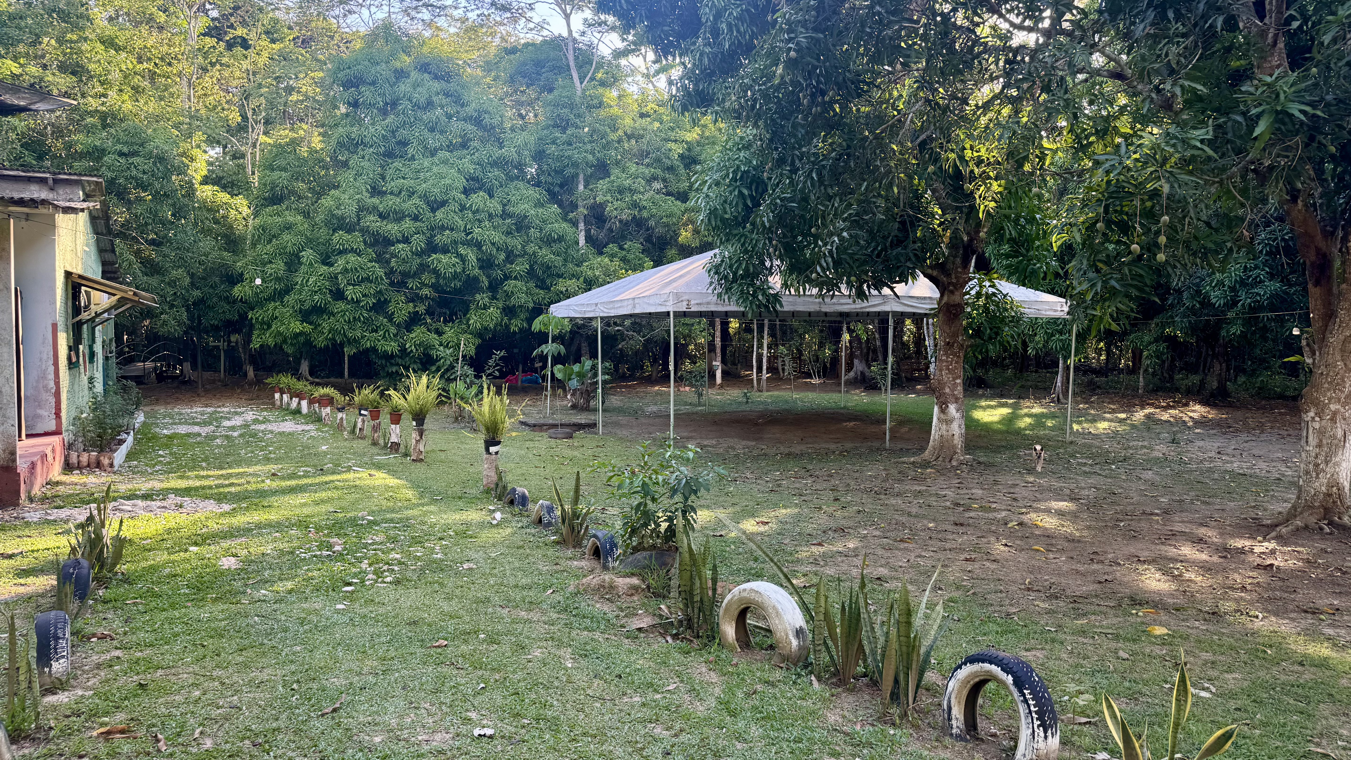 Registro de Centro Espírita De Umbanda Reino Das Matas