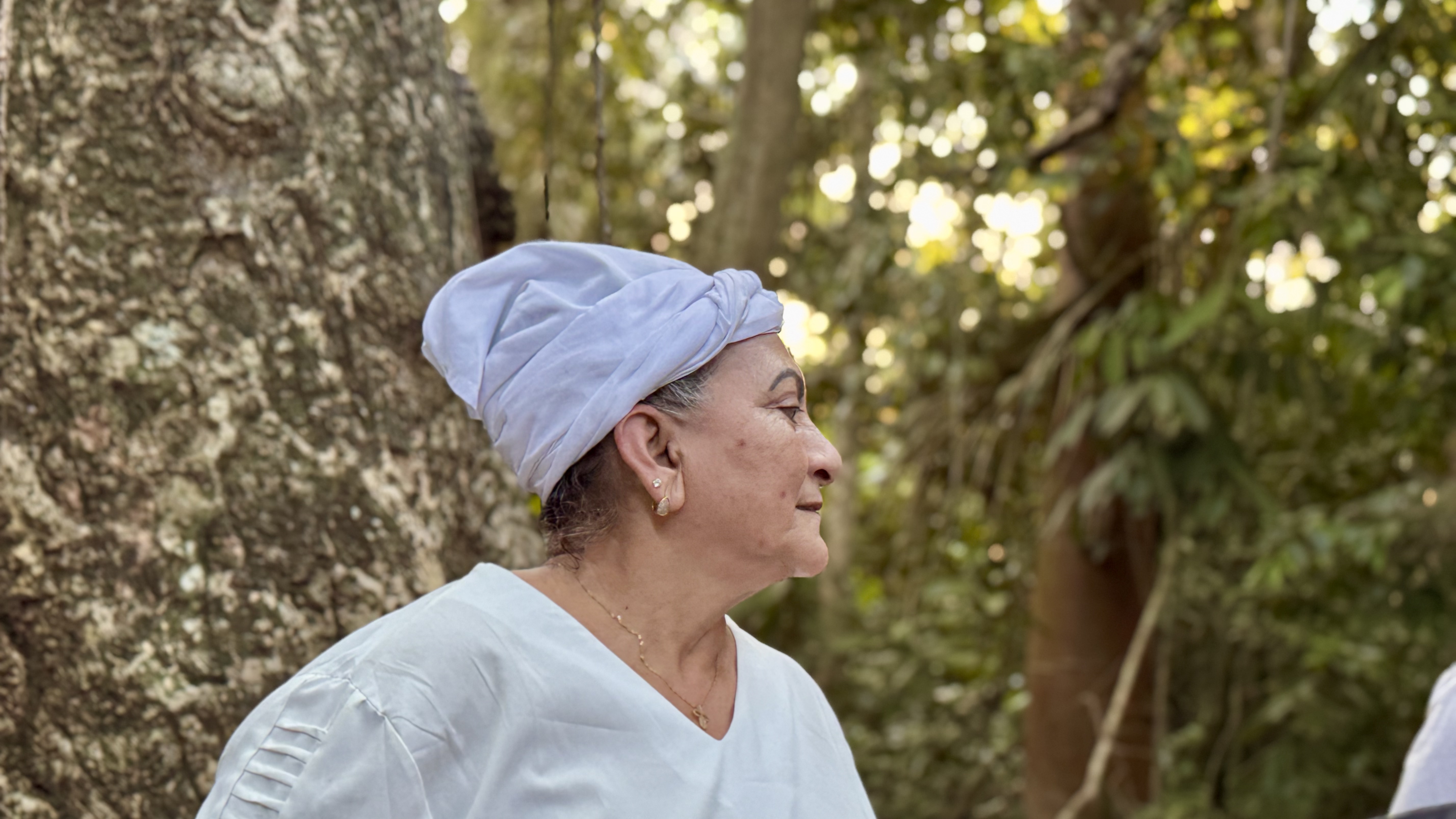 Registro de Centro Espírita De Umbanda Reino Das Matas